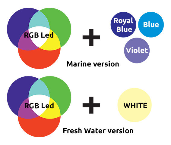 Blau Pico Lumina RGB