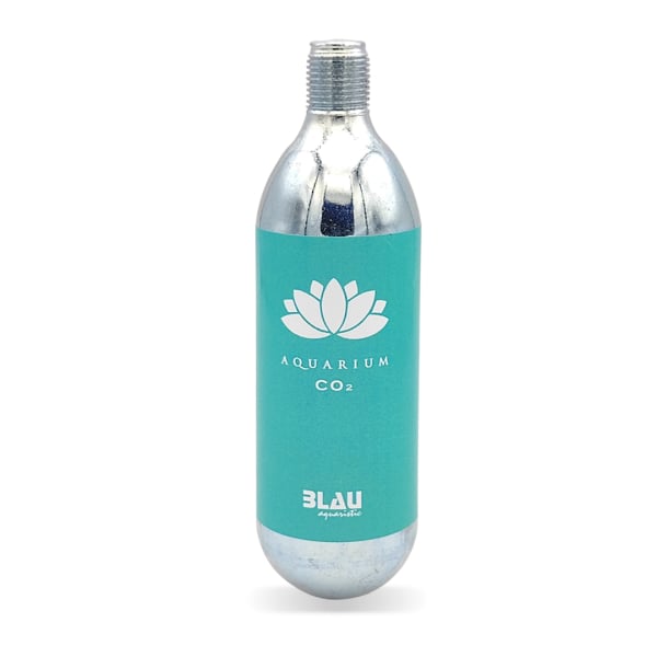 Blau Shallow Aquarium