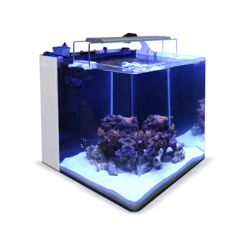 Blau All in One Aquarium