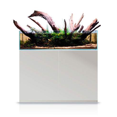 Blau Cubic Shallow Experience